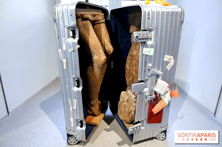 Exposition Clair-obscur à la Bourse de Commerce, nos photos