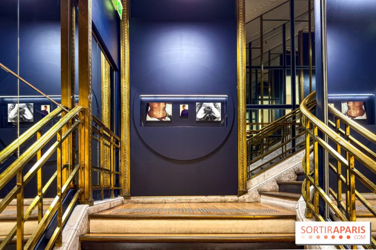 Pour Toujours, exposition de Maurizio Catelan aux Galeries Lafayette - IMG 5800