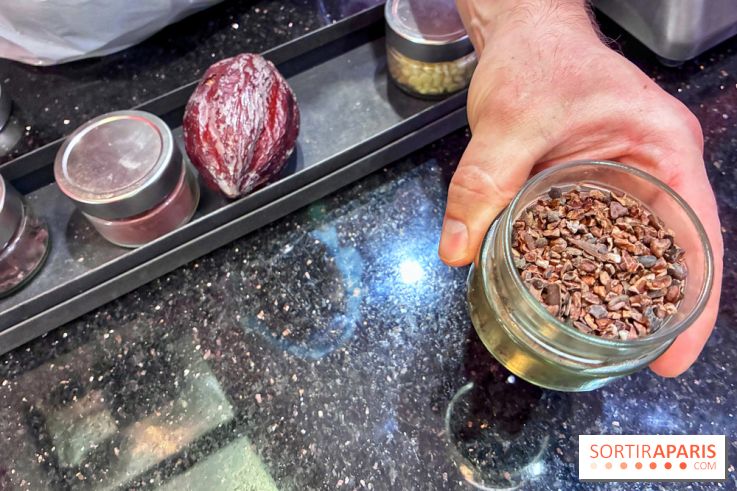 Atelier rocher praliné Edwart Chocolatier