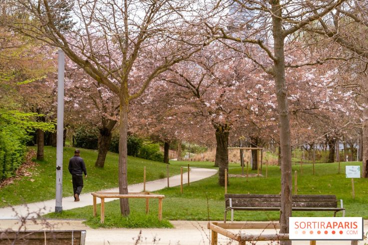 Les cerisiers du parc Martin Luther King - Clichy - Batignoles