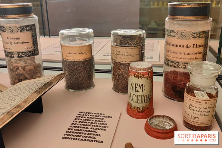 K-Beauty au musée Guimet : l'exposition sur la beauté en Corée du Sud se dévoile en images