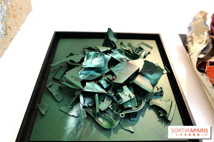 Street Nature Forte 2026, nos photos de l'expo à découvrir dans le 10e à Paris