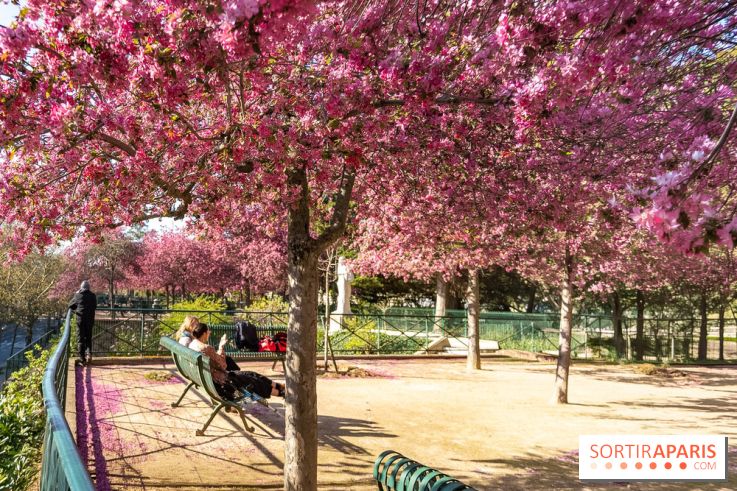 Les pommiers et cerisiers en fleurs du Jardin de Reuilly, Parc de Reuilly à Paris 12e - photos  - détente