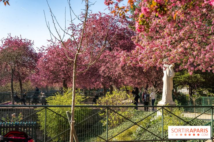 Les pommiers et cerisiers en fleurs du Jardin de Reuilly, Parc de Reuilly à Paris 12e - photos