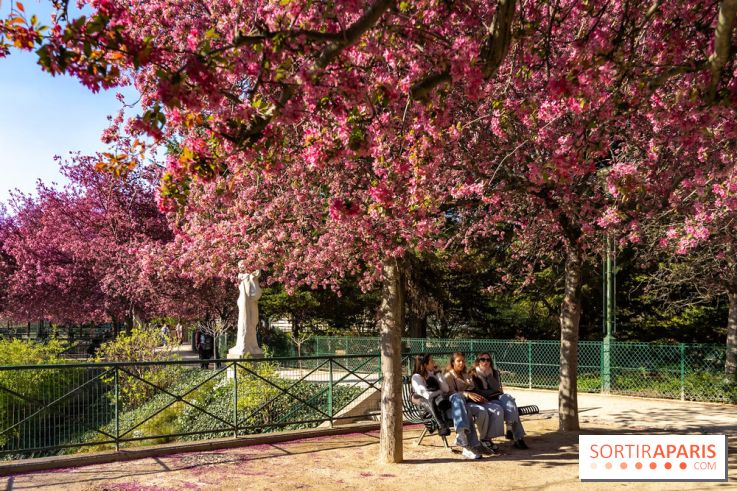 Les pommiers et cerisiers en fleurs du Jardin de Reuilly, Parc de Reuilly à Paris 12e - photos