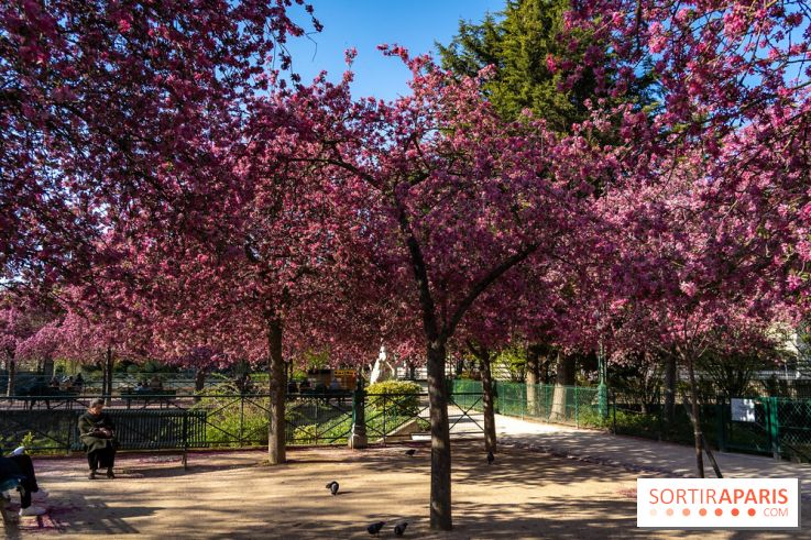 Les pommiers et cerisiers en fleurs du Jardin de Reuilly, Parc de Reuilly à Paris 12e - photos