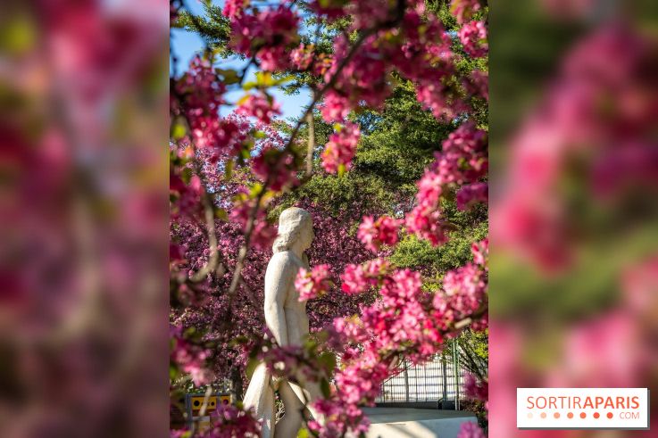 Les pommiers et cerisiers en fleurs du Jardin de Reuilly, Parc de Reuilly à Paris 12e - photos