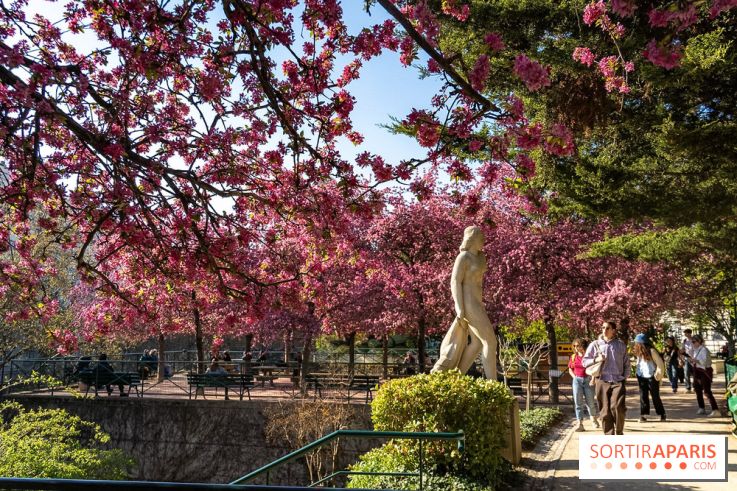 Les pommiers et cerisiers en fleurs du Jardin de Reuilly, Parc de Reuilly à Paris 12e - photos