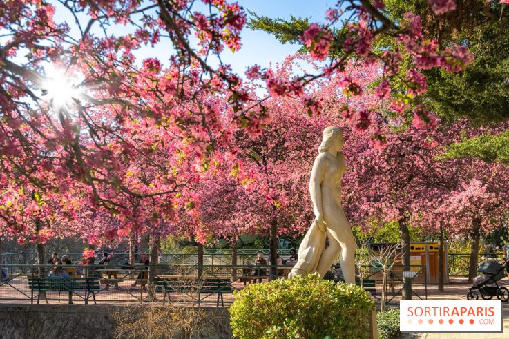 Les pommiers et cerisiers en fleurs du Jardin de Reuilly, Parc de Reuilly à Paris 12e - photos  - visuel