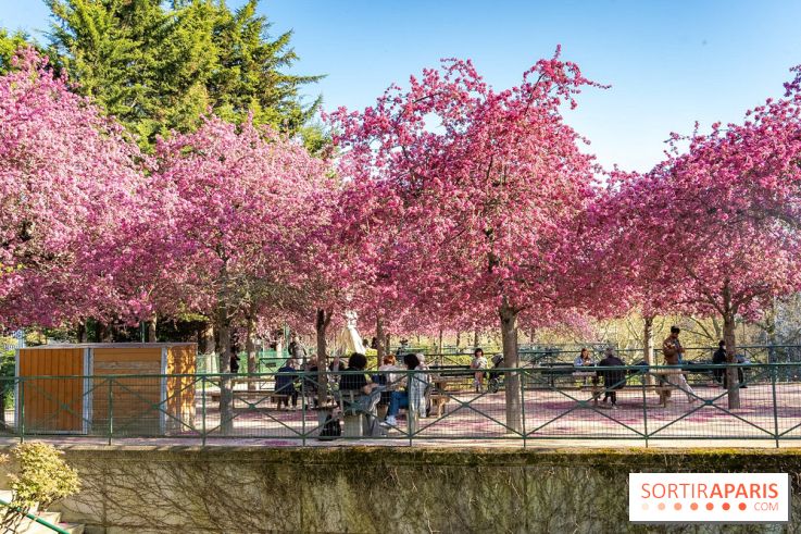 Les pommiers et cerisiers en fleurs du Jardin de Reuilly, Parc de Reuilly à Paris 12e - photos  - table pique nique 