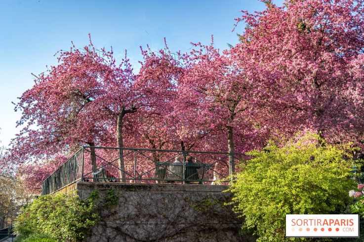 Les pommiers et cerisiers en fleurs du Jardin de Reuilly, Parc de Reuilly à Paris 12e - photos