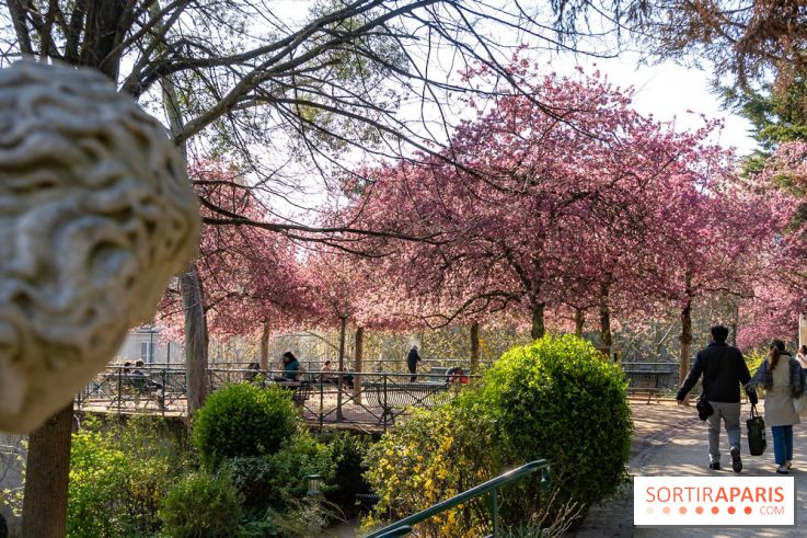 Les pommiers et cerisiers en fleurs du Jardin de Reuilly, Parc de Reuilly à Paris 12e - photos