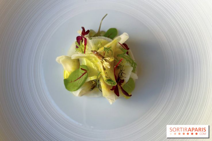 Alliance - Tourteau en fine raviole de radis, mayonnaise maison, huile curry, pomme verte 