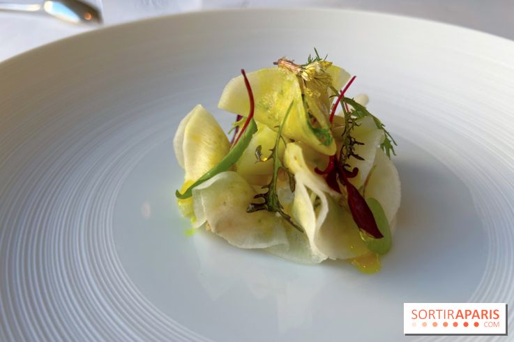 Alliance - Tourteau en fine raviole de radis, mayonnaise maison, huile curry, pomme verte 