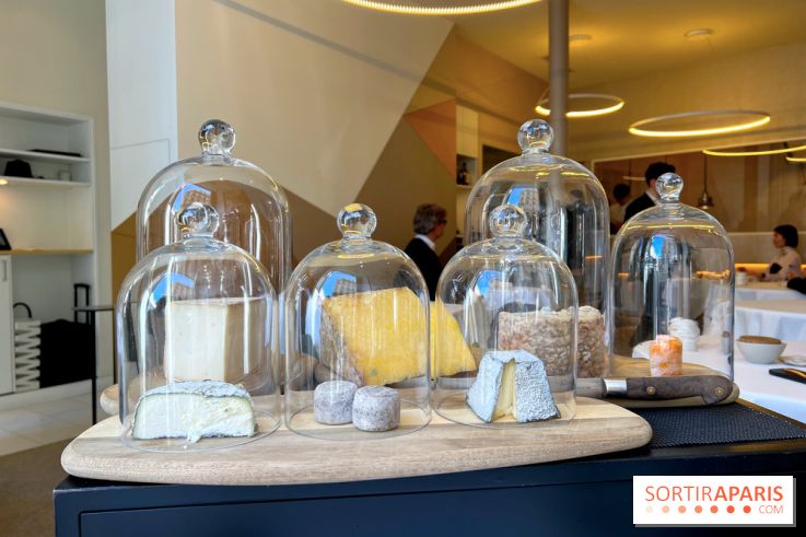 Alliance - Crottin cendré, Vermenton, Langres, Fourme d'Ambert, Laguiole, tomme de brebis