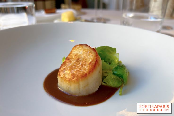 Alliance - Noix de Saint-Jacques à l'unilatéral, chou de Bruxelles, sauce réduite au vin rouge et barbes 