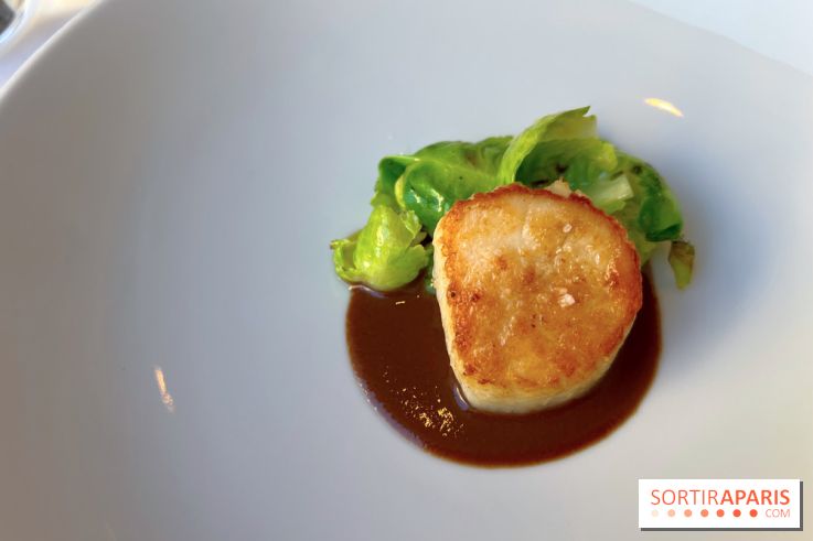 Alliance - Noix de Saint-Jacques à l'unilatéral, chou de Bruxelles, sauce réduite au vin rouge et barbes 