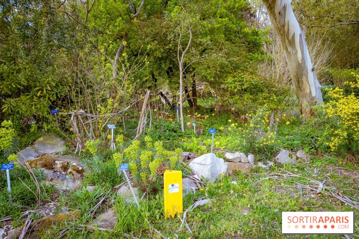 Le jardin botanique de Launay et arboretum de l'Université Paris Saclay à Orsay - les photos - A7C09556