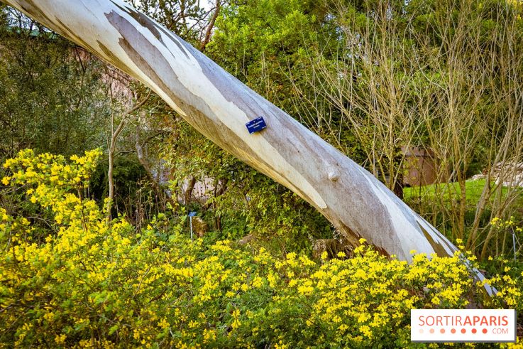 Le jardin botanique de Launay et arboretum de l'Université Paris Saclay à Orsay - les photos - A7C09558