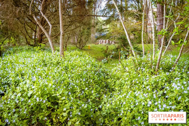 Le jardin botanique de Launay et arboretum de l'Université Paris Saclay à Orsay - les photos