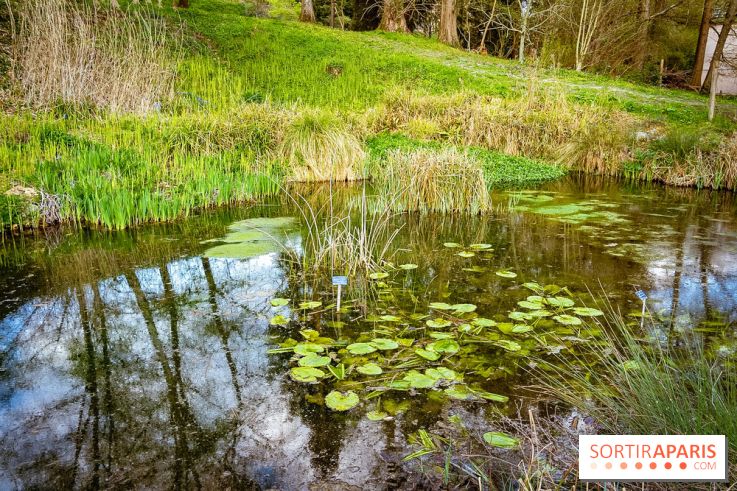 Le jardin botanique de Launay et arboretum de l'Université Paris Saclay à Orsay - les photos