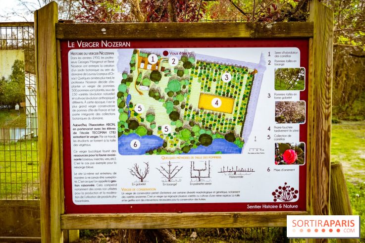 Le jardin botanique de Launay et arboretum de l'Université Paris Saclay à Orsay - les photos - A7C09565