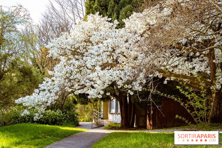 Le jardin botanique de Launay et arboretum de l'Université Paris Saclay à Orsay - les photos