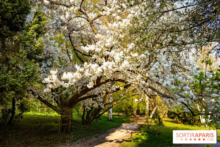 Le jardin botanique de Launay et arboretum de l'Université Paris Saclay à Orsay - les photos