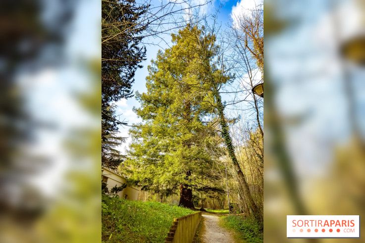 Le jardin botanique de Launay et arboretum de l'Université Paris Saclay à Orsay - les photos