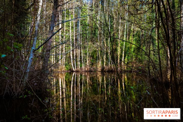 Le jardin botanique de Launay et arboretum de l'Université Paris Saclay à Orsay - les photos - A7C09596