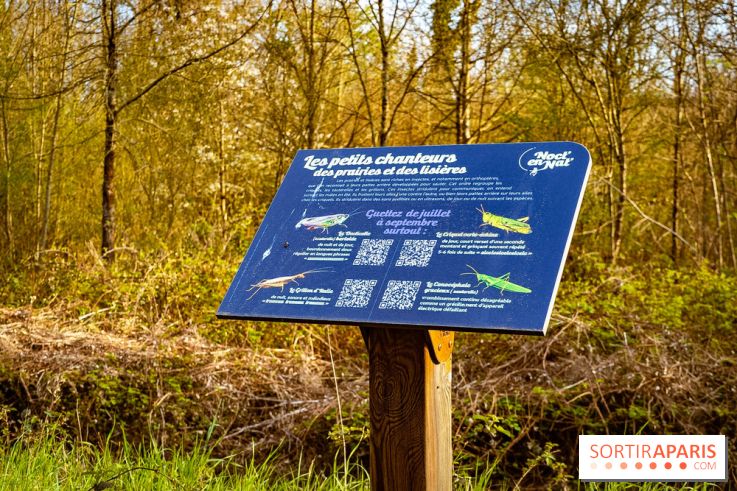 Le jardin botanique de Launay et arboretum de l'Université Paris Saclay à Orsay - les photos - A7C09600