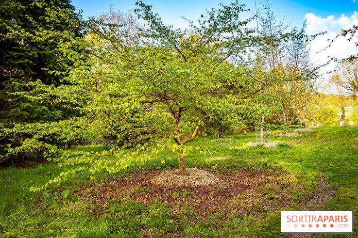 Le jardin botanique de Launay et arboretum de l'Université Paris Saclay à Orsay - les photos