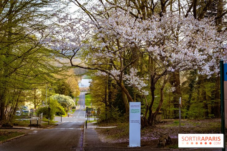 Le jardin botanique de Launay et arboretum de l'Université Paris Saclay à Orsay - les photos