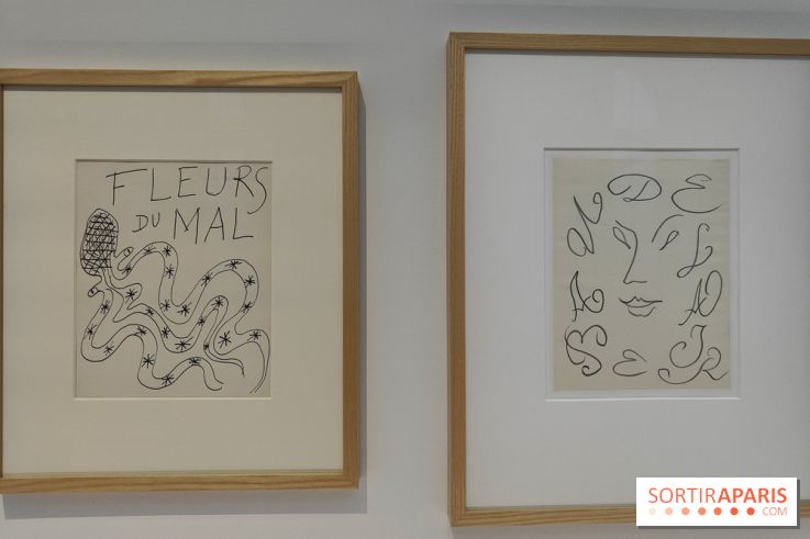 Matisse 1941-1954 : la grande exposition rétrospective sur le peintre incontournable au Grand Palais - fotor 1774268135401