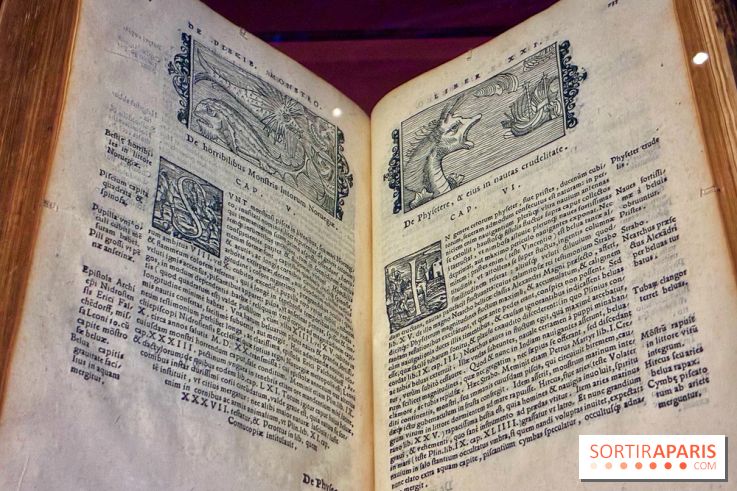 Cartes imaginaires - IMG 4289