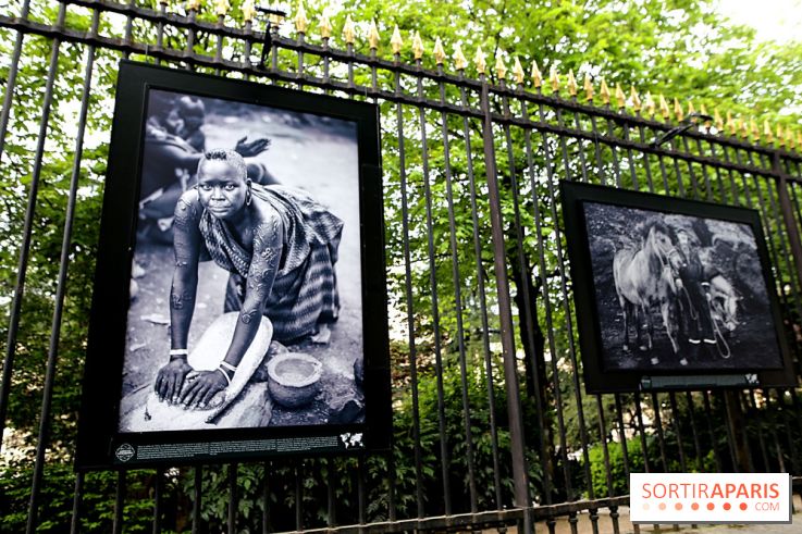 Fragilités & Résiliences, nos photos de l'expo dévoilée sur les grilles du Jardin du Luxembourg