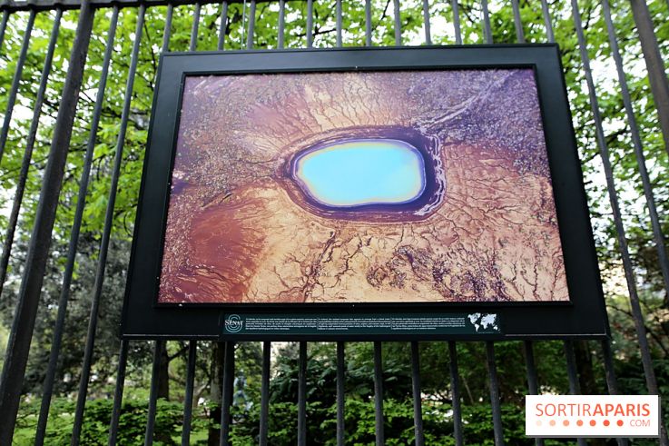 Fragilités & Résiliences, nos photos de l'expo dévoilée sur les grilles du Jardin du Luxembourg