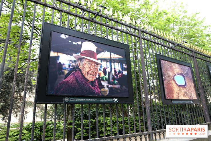Fragilités & Résiliences, nos photos de l'expo dévoilée sur les grilles du Jardin du Luxembourg