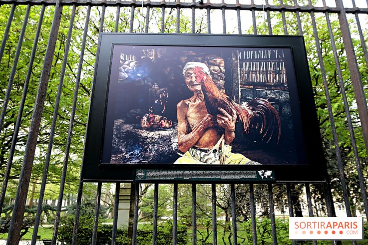 Fragilités & Résiliences, nos photos de l'expo dévoilée sur les grilles du Jardin du Luxembourg