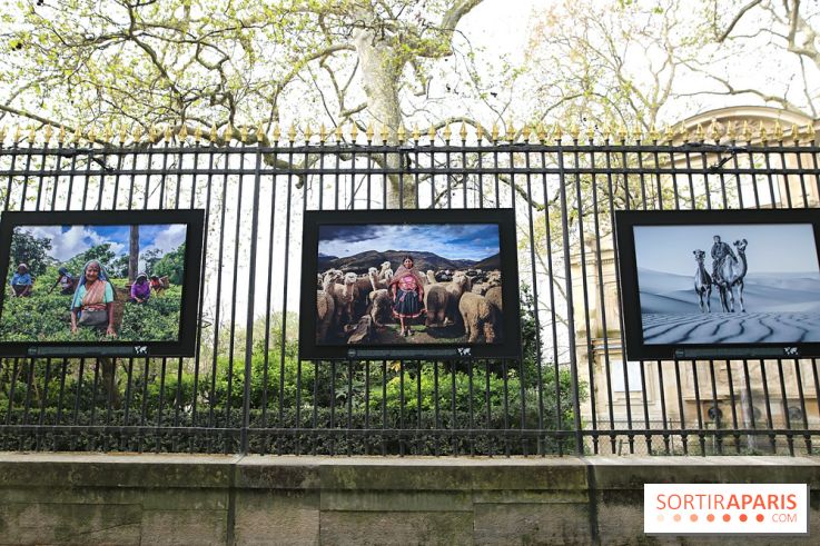 Fragilités & Résiliences, nos photos de l'expo dévoilée sur les grilles du Jardin du Luxembourg