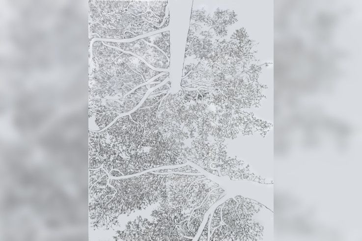 Souffle de fer - WhatsApp Image 2026 03 27 at 19.02.05 — копия