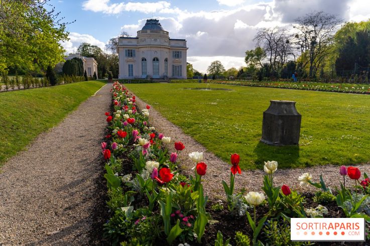 Le Parc de Bagatelle au printemps, cerisier, tulipes et jonquilles - photos
