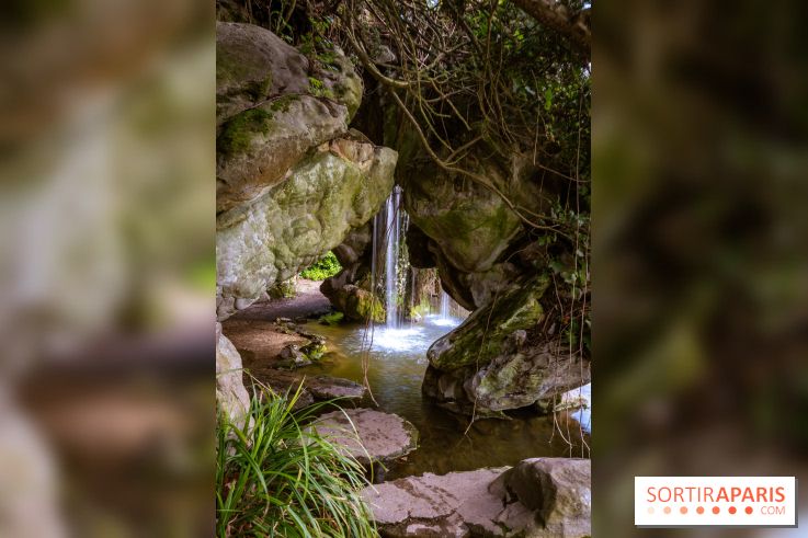 Le Parc de Bagatelle au printemps, cerisier, tulipes et jonquilles - photos - A7C00672