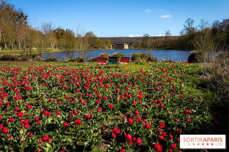 Les tulipes du Château de Dampierre, son jardin anglais et le jardin Le Nôtre