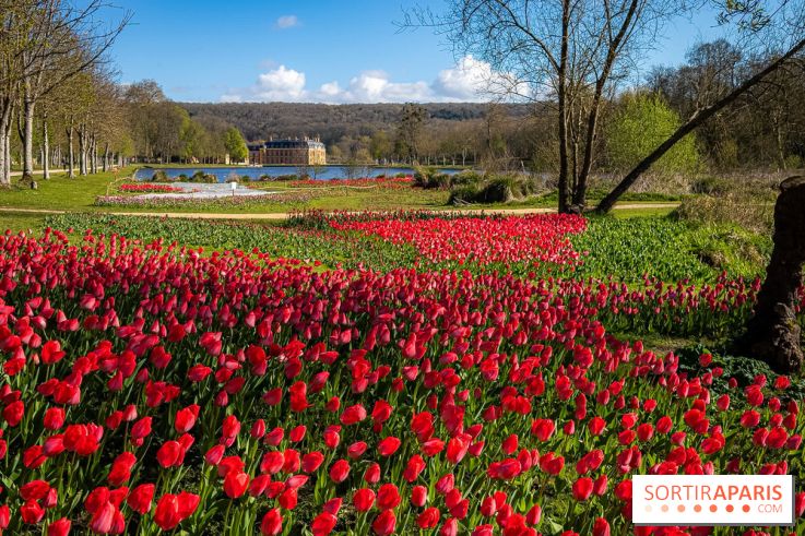 Les tulipes du Château de Dampierre, son jardin anglais et le jardin Le Nôtre