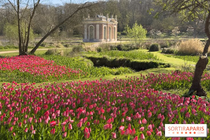 Les tulipes du Château de Dampierre, son jardin anglais et le jardin Le Nôtre