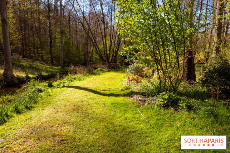 Les tulipes du Château de Dampierre, son jardin anglais et le jardin Le Nôtre - IMG 2932