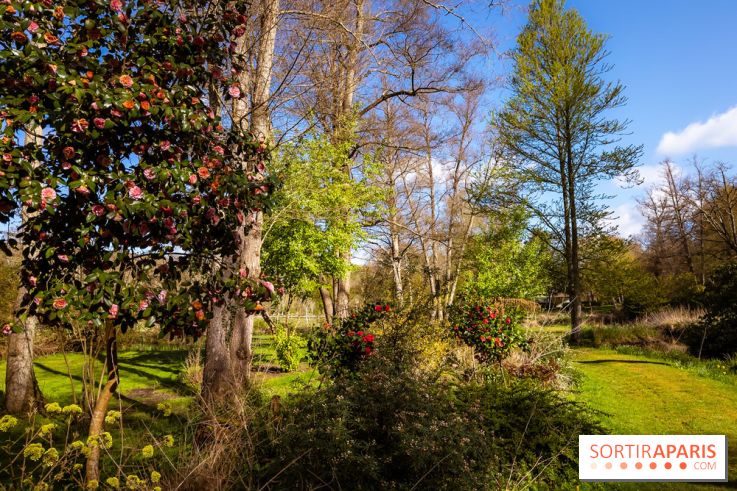Les tulipes du Château de Dampierre, son jardin anglais et le jardin Le Nôtre - IMG 2937