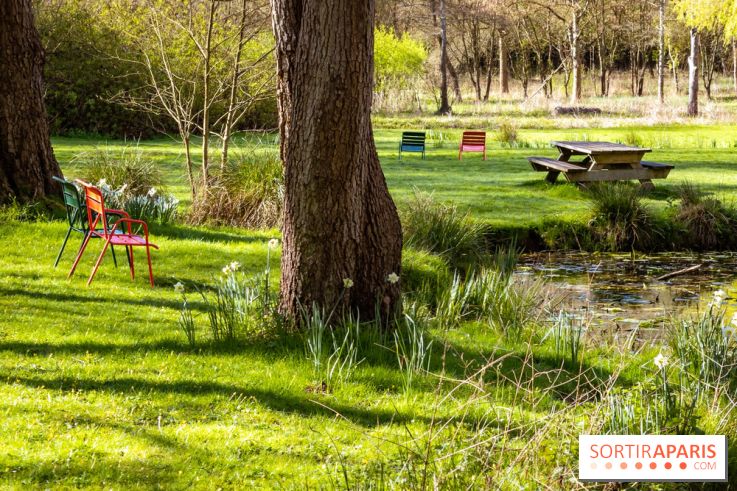 Les tulipes du Château de Dampierre, son jardin anglais et le jardin Le Nôtre - IMG 2938