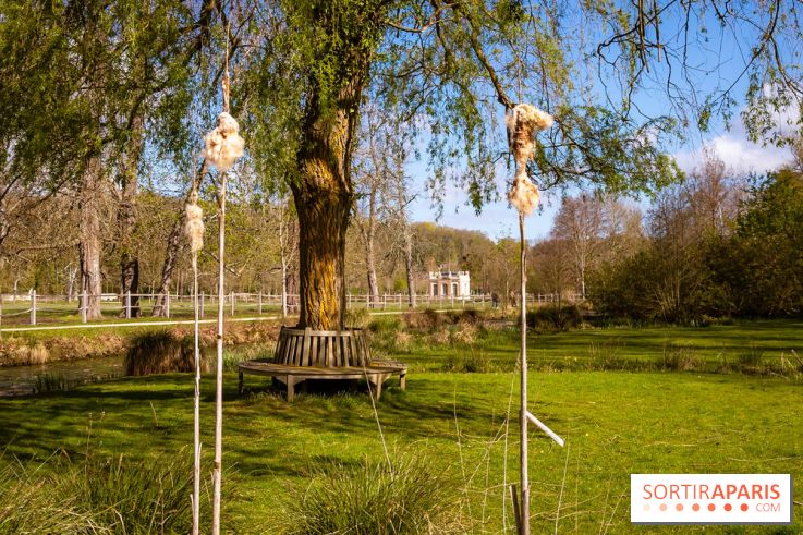 Les tulipes du Château de Dampierre, son jardin anglais et le jardin Le Nôtre - IMG 2950